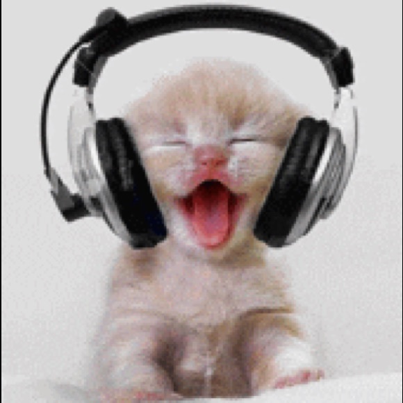 Meet your Posher, Alain - Picture 1 of 1